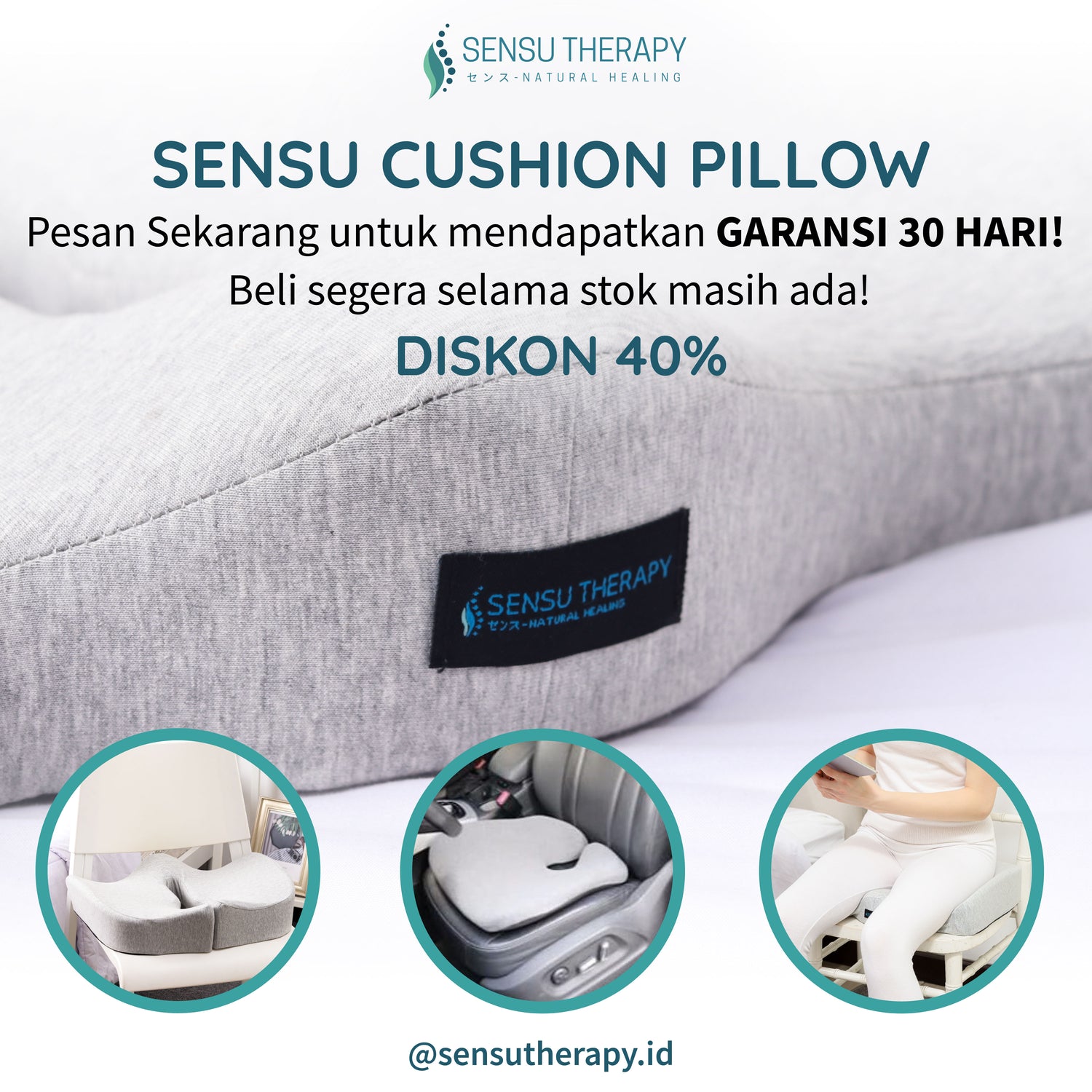 Cushion Pillow